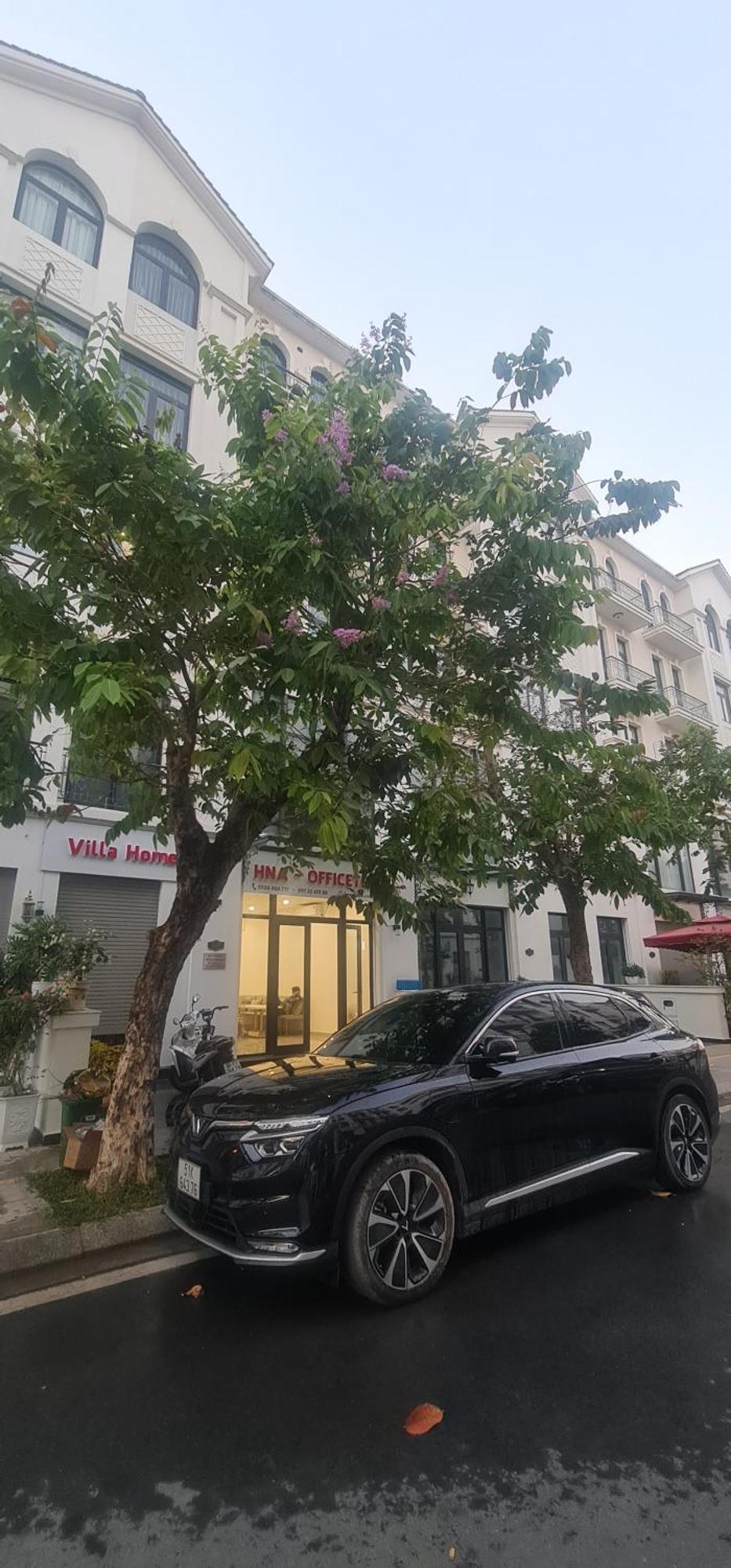 Vinhomes Villa Go Cong エクステリア 写真
